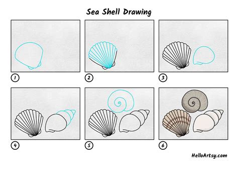 Easy Shells to Draw Easy to Draw Seashells - Nardi Pasm1991