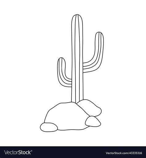 Cactus outline drawing line Royalty Free Vector Image