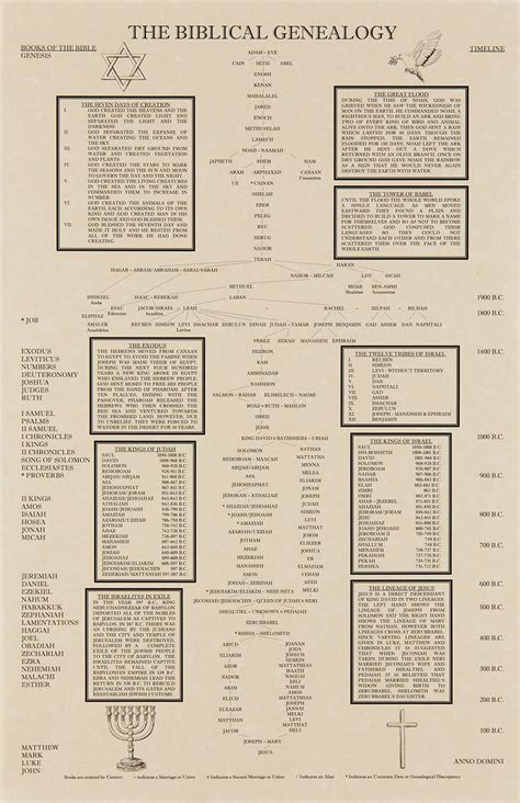 Buy The Biblical Genealogy Chart, Family Tree from Adam to Jesus, Books ...