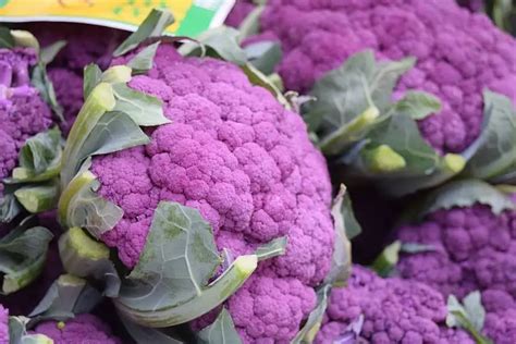 Purple Cauliflower-large | Farm it yourself