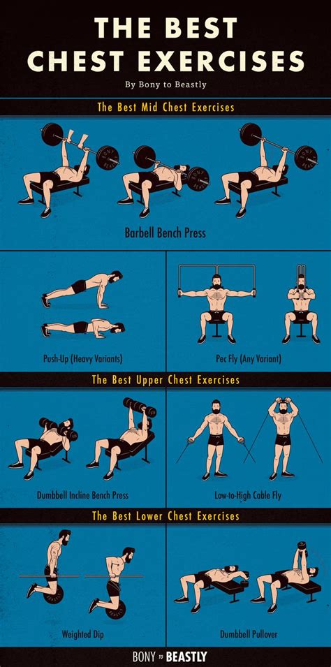 An illustrated chart of the best chest exercises | Chest workout, Best ...