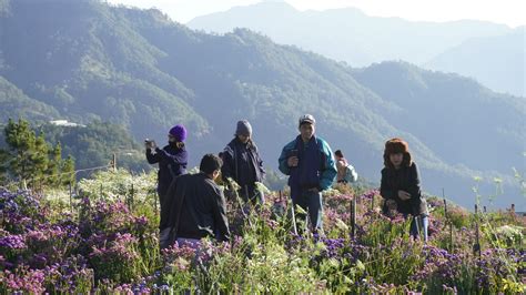 Colder weather, coronavirus scare bring shivers to Baguio residents