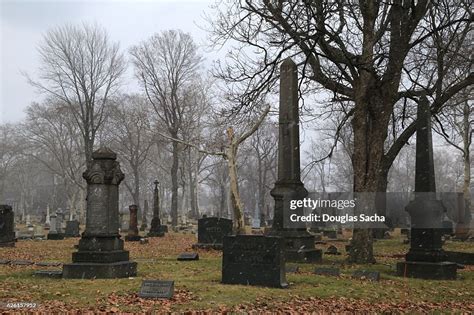 Fog Over The Dark Cemetery High-Res Stock Photo - Getty Images