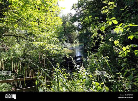 Silent Pool, Albury Surrey England UK Stock Photo - Alamy