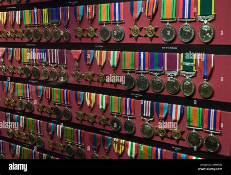 War medals on display Stock Photo - Alamy