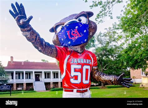 The University of South Alabama mascot, the jaguar, wears a mask to ...