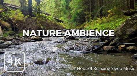 Relaxing Nature : 1 Hour of Calming River sound for Sleep and ...