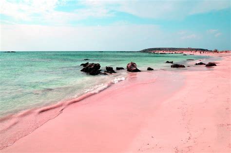 The Unique Pink Sands Beach in Harbour Island, the Bahamas - Places To ...