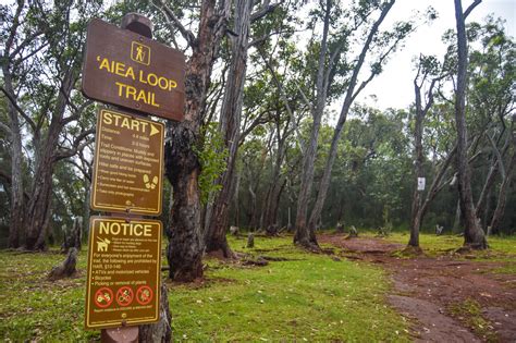 'Aiea Loop Trail | Outdoor Project