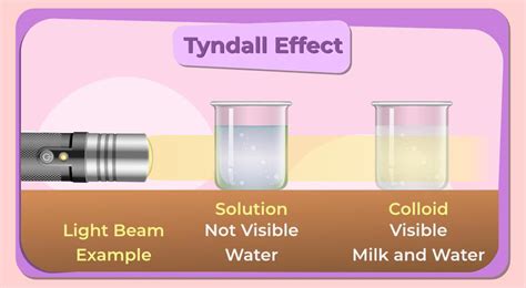 Tyndall Effect - Phenomenon, Explanation, Examples, and FAQs