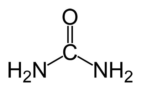 Chemical Makeup Of Urea | Saubhaya Makeup