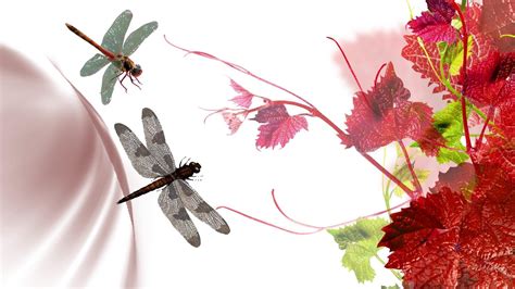 Dragonflies Wallpapers - Wallpaper Cave