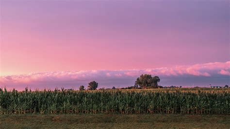 Corn Field Sunset Photograph by Bella B Photography - Pixels