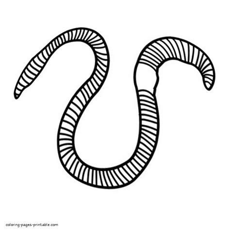 Earthworm Coloring Page