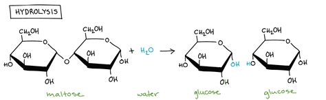 Define And Explain Hydrolysis With Examples and Latest Expariments ...