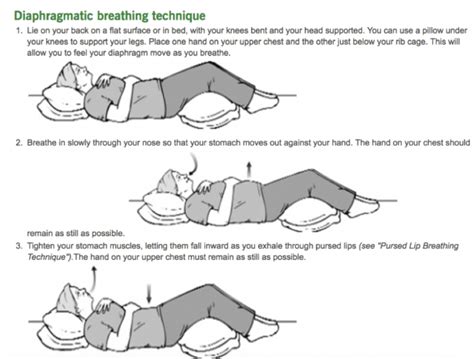 Image result for diaphragmatic breathing handout | Diaphragmatic ...