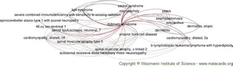 Dubowitz Syndrome disease: Malacards - Research Articles, Drugs, Genes ...