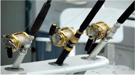 7 Fishing Rod Brands for Freshwater Fishing | News For Public