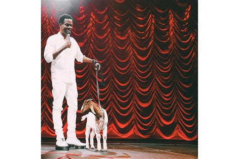 Netflix Goes Live for First Time With Chris Rock Stand-Up Special | Next TV