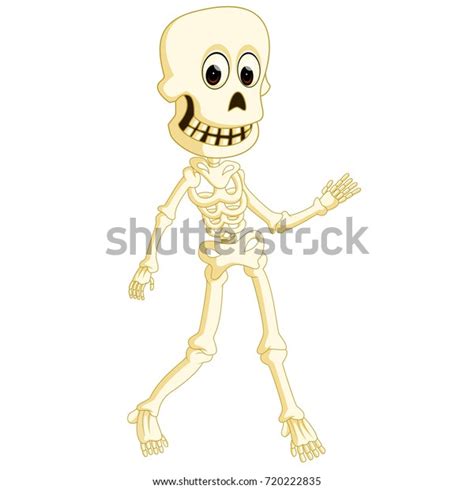 Vector Illustration Cartoon Funny Human Skeleton Stock Vector (Royalty ...