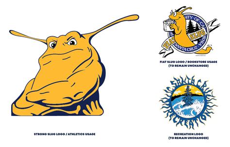 UC Santa Cruz introduces new Banana Slugs identity - Uniform Authority