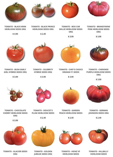 Tomato Seeds | Heirloom tomato seeds, Heirloom tomatoes, Vegetable garden