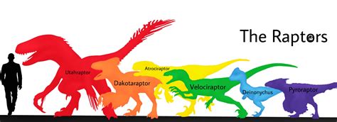 Raptor size chart | Jurassic Park | Know Your Meme