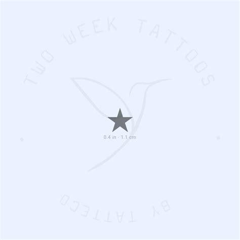 Black Star Semi-Permanent Tattoo - Set of 2 – Tatteco