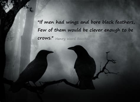 Crow facts, Crow, General quotes