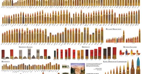 Ammo and Gun Collector: Standard Cartridges