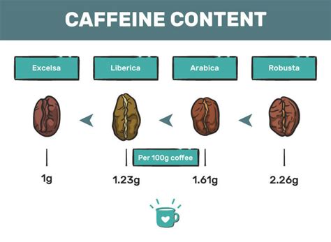 4 Types of Coffee Beans - Characteristics, Blends and Roast Varieties