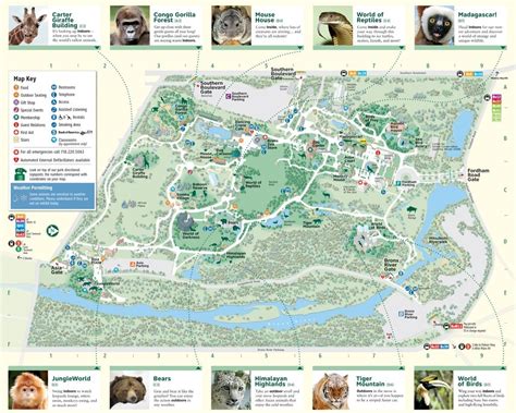 Bronx Zoo Map Printable - Free Printable Maps