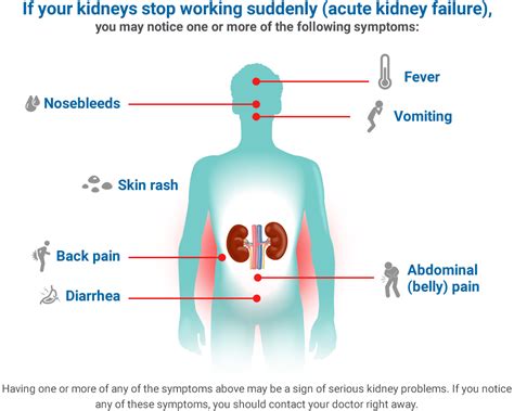 Chronic Kidney Disease (CKD) symptoms, treatment, & prevention ...