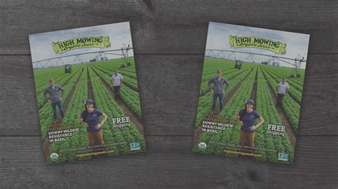 Quality 100% Organic, NON-GMO Seeds- High Mowing Organic Seeds