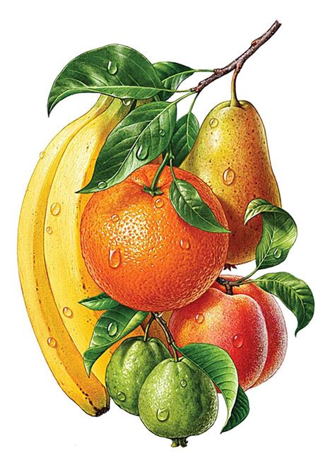 Российский Сервис Онлайн-Дневников | Pintura de frutas, Imagens de ...