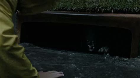 Pennywise in the Sewer: Template Images Gallery | Know Your Meme