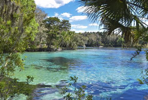 6 Hidden Gems on the St. Johns River