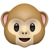 🐵 Monkey Face Emoji — Meaning, Copy & Paste