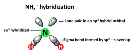 NH2- lewis structure, molecular geometry, hybridization, bond angle