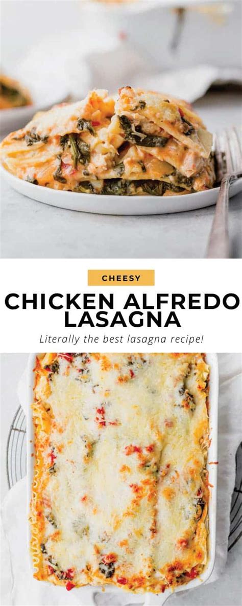 Chicken Alfredo Lasagna (So Easy!) - The Cheese Knees