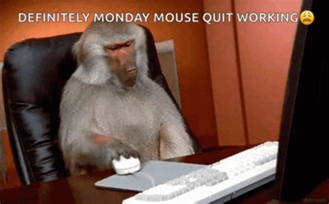 Monkey Business Annoyed GIF - MonkeyBusiness Annoyed Irritated ...