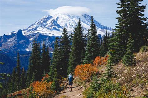 Skyline Trail To Mount Rainier | ubicaciondepersonas.cdmx.gob.mx