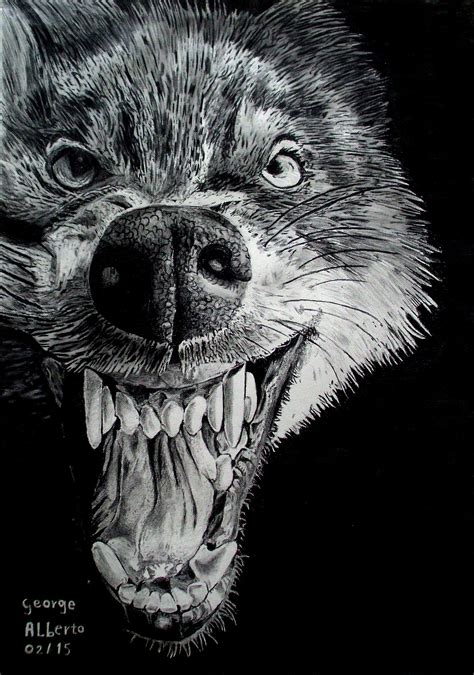 Wolf, realistic pencil drawing | Wolf drawing, Realistic pencil ...