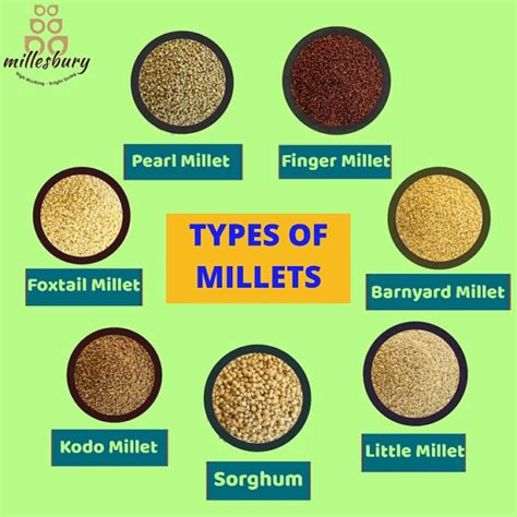 Types of millets and their benefits - Millesbury