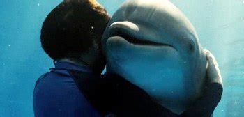 Watch: Charming & Inspirational New 'Dolphin Tale' Theatrical Trailer ...