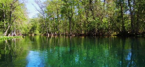 Silver Springs State Fish And Wildlife Area, Yorkville | Roadtrippers