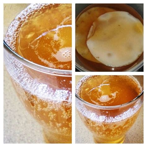 Large Kombucha SCOBY & Kombucha Starter Kit