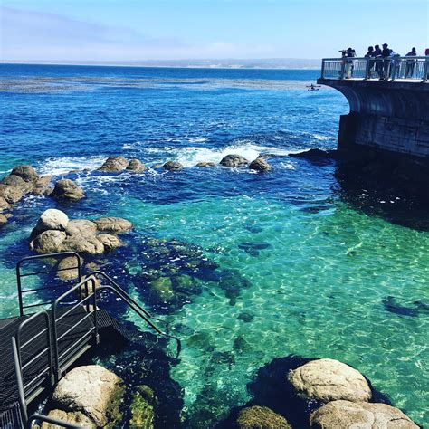 Monterey Bay was beautiful. 10/10. : r/pics