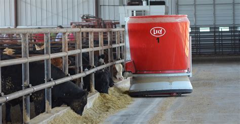 Automation makes cattle feeding more efficient | Farm Progress