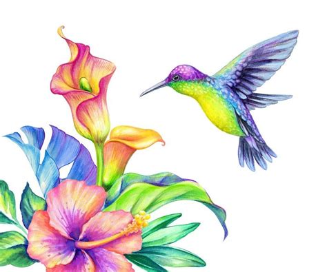 Flying Hummingbird With Tropical Calla Lily Wall Decal Home | Etsy ...